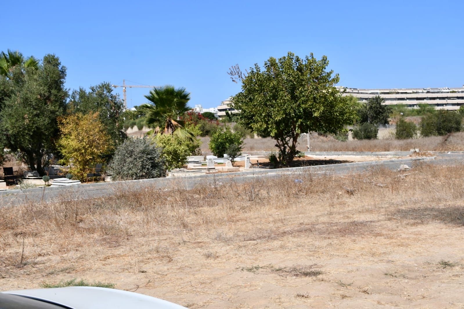 WhatsApp Image 2020-10-15 at 9.52.49 PM (2).jpeg.jpeg